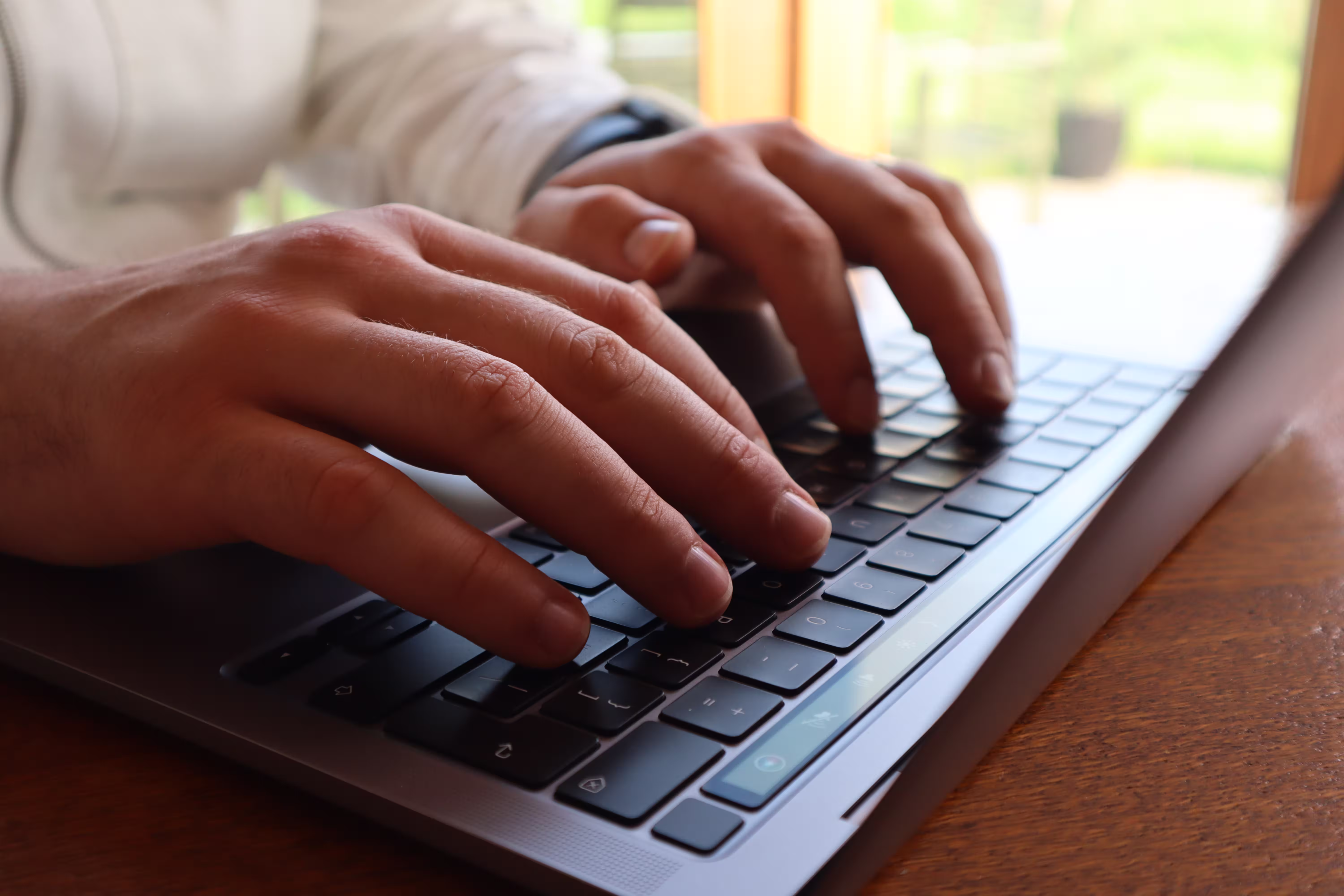 Web development project preview