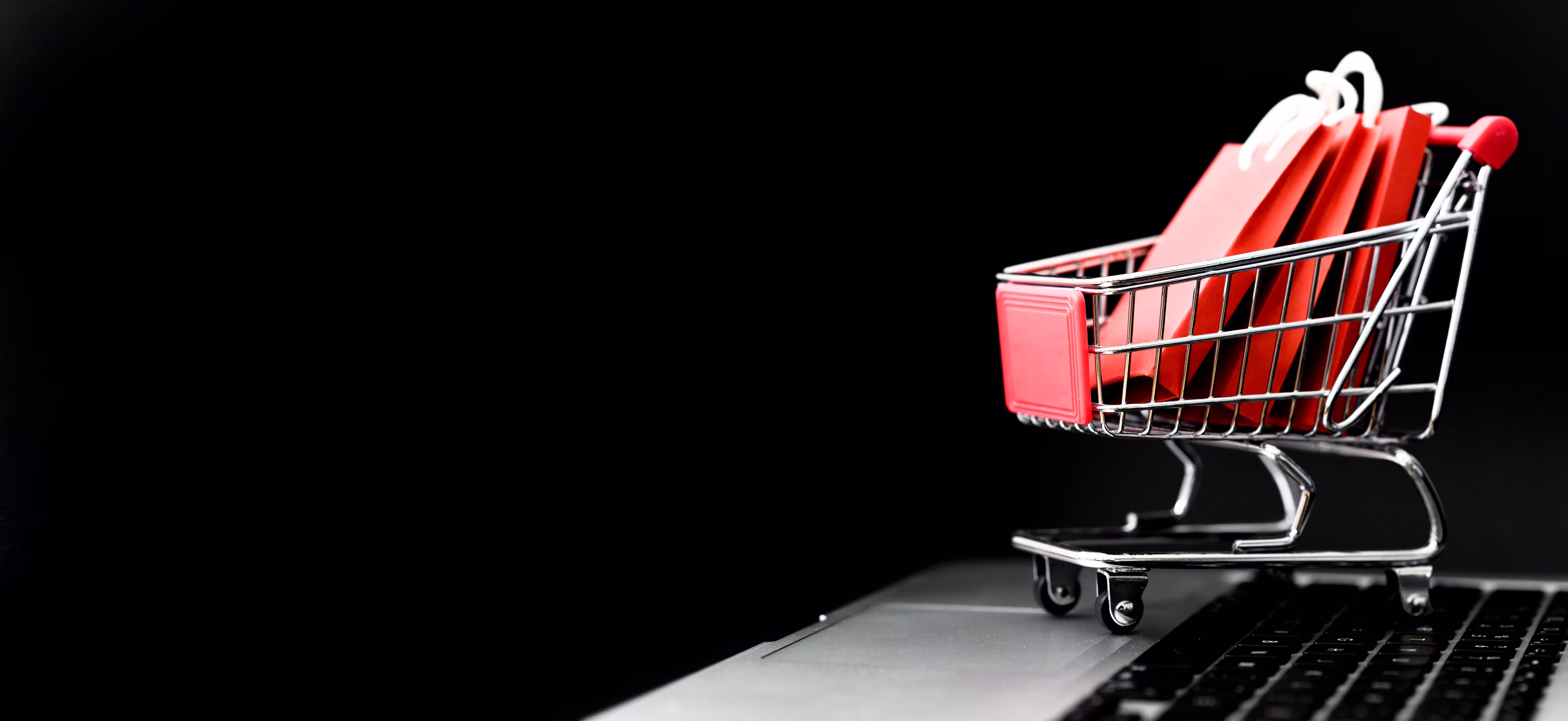 Ecommerce website preview